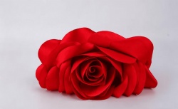 Satin Clutch